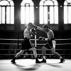 961282_a boxing match _xl-beta-v2-2-2