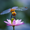 2867672868_a dragonfly on a waterlilly, top view _xl-beta-v2-2-2